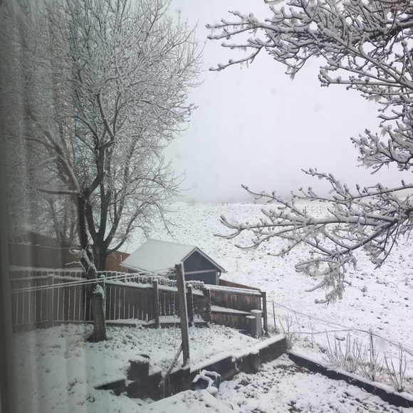 I'm Roetta. - Picture 6 of 11